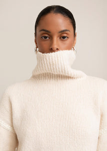Ari Turtle Neck Sweater